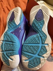 Nike LeBron 9 Hornets