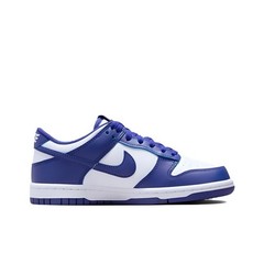 Nike Dunk Low Concord GS Kids FB9109-106 New Authentic