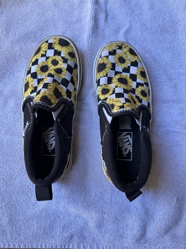Vans Asher slip-on sneakers Size 12