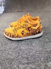 Nike Dunk Low Next Nature Tiger Stripes Toddler Sneakers DZ5633-800 Size 13C