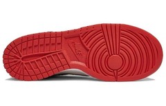 Nike Dunk Low EMB NBA 75th Anniversary Chicago GS DO6288-100