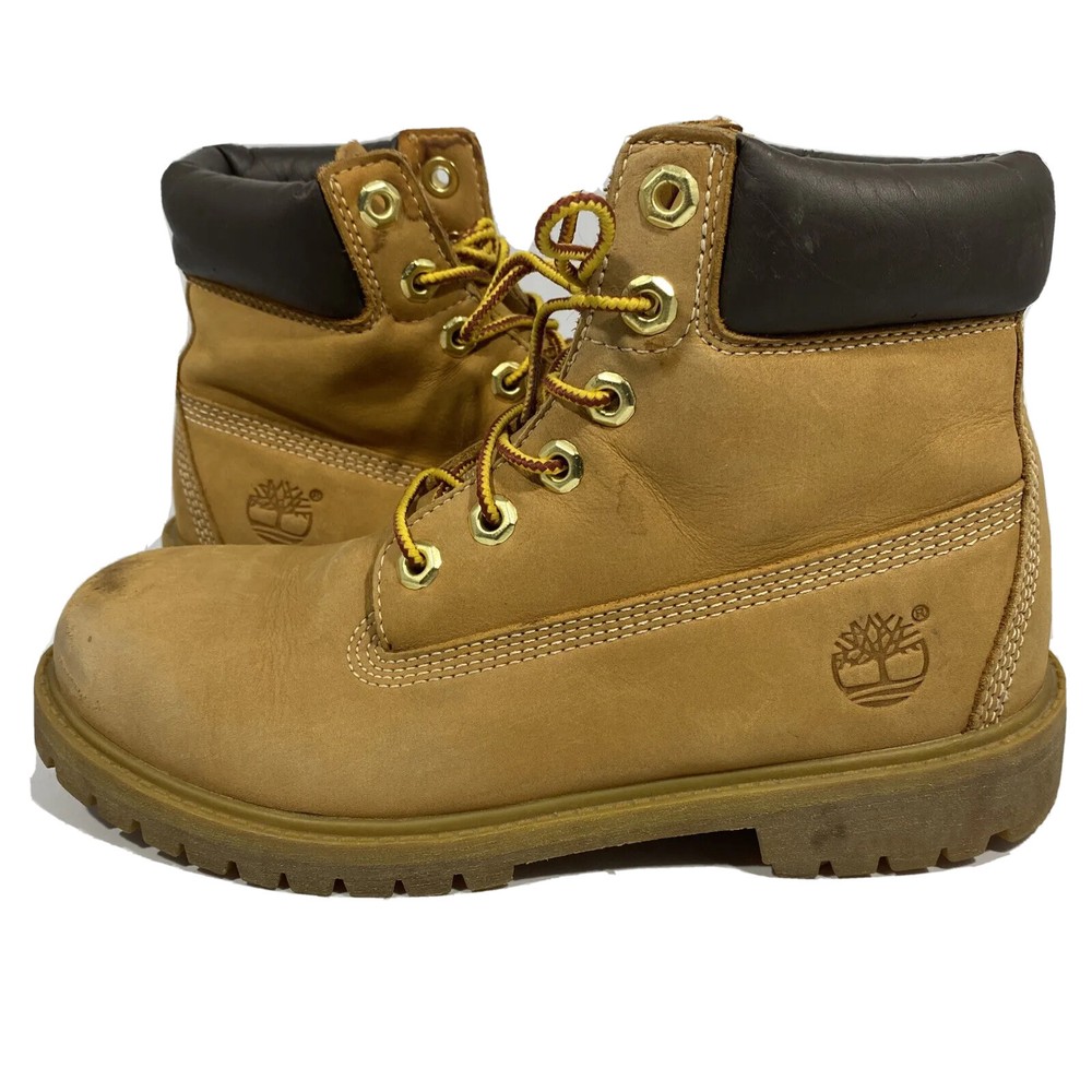 Timberland Boots Brown Suede Premium Water Proof Youth Boys Size 5