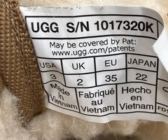 Kids UGG Neumel II Boot Chestnut Size 3
