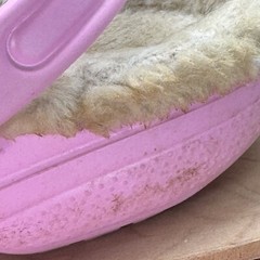 Crocs Pink Lined Clogs Junior Size 3 Adult Size 5 White Lining Spellout Cute