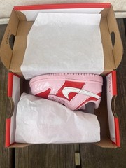 Nike Dunk Low BTE Unisex Kids Sneaker Pink Red White Heart Logo 7C