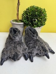MONSTER SLIPPER “ DON’T CRY WOLFE “ CUSHIONED Kids Size Small 10/11