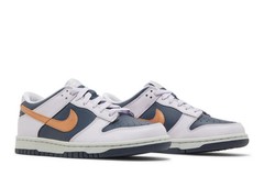 Nike Dunk Low SE Grade School Copper Swoosh DX1663-400 Available Now