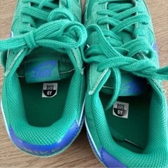 NEW Nike Field General Ref Big Kids Green & Blue Malachite Gum Sneakers Size 6Y