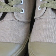 BANGS Old Pine Canvas High top Unisex Boys Size 3.5, Girls/Women Size 5