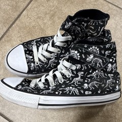 Converse Chuck Taylor All Star Kids Dinosaur Print High Top Lace-Up Sneaker US 3