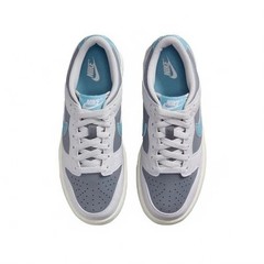 Nike Dunk Low Turqoise Grade School Low Top Athletic Sneakers New FB9109-008
