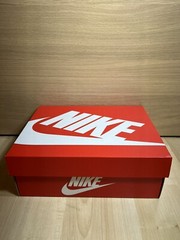 Size 4.5 (GS) – Nike Dunk Low Everything You Need