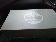 Size 3 Timberlands ( Brand New )
