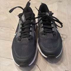 Nike Air Zoom Pegasus 40 DX2498-001 Black/White Kids Running Sneaker 6Y