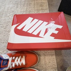 Dunk Low SE Everything You Need GS