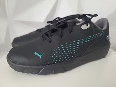 Puma Mercedes Amg Petronas Mapf1 Drift Cat Decima Ac Youth Boy Casual Shoes 3C