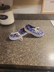 VANS Authentic MLB Chicago Cubs KIDS Size 11.5 Athletic Low Top Skate Shoes.