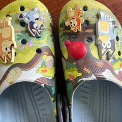 Crocs Bluey Bingo Kids Classic Clogs Blue Green J2 Jibbitz Charms Shoes