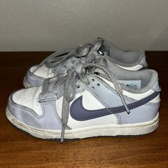 Nike Dunk Low Summit White/Light Carbon TD Toddler Size 12C Shoes (FB9108-101)