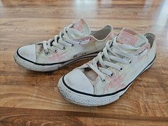 Converse Palm Multi Chuck Taylor All Star Size 6