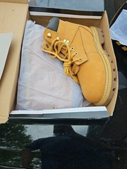 Artic 8 Earth Wheat Size 6
