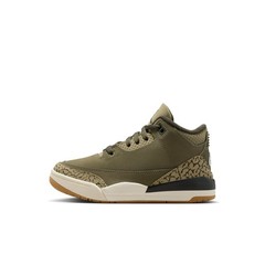 Jordan Retro 3 ‚Family Affair‘ GS Size 11.5C DM0966-202 New