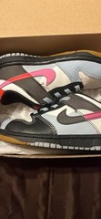 Nike Dunk Low SE (TD) 9C (EU 26) Leather Low Top Sneaker FJ0002-100