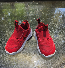 “Nike Flex Runner 3 (GS) Low University Red Size 5 1/2 Youth…”