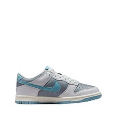 Nike Dunk Low Turqoise Grade School Low Top Athletic Sneakers New FB9109-008