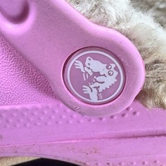 Crocs Pink Lined Clogs Junior Size 3 Adult Size 5 White Lining Spellout Cute