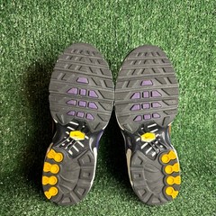 Nike Air Max Plus OG Gradient Mesh Athletic Sneaker Voltage Purple Youth Size 1Y