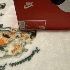 Brand New In The Box Nike Court Borough Low 2 (GS) Size 5Y, 5.5Y, 6Y, 6.5Y, 7Y