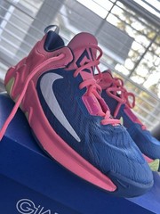 Nike Giannis Immortality 2 GS Youth Size 6.5Y Pink Blue FQ8168-630