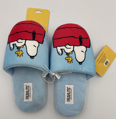 Peanuts Snoopy / Woodstock Slippers Kid’s Size L / XL Blue Slip-On Shoes NWT