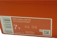 Nike Dunk Low BG – Dusty Cactus/Thunder Blue (HF4794-345) Sneakers (Youth 7)