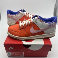 Nike Dunk Low Everything You Need Size 5y