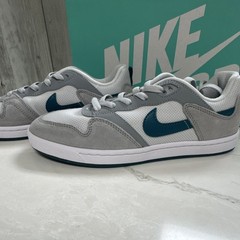 Nike SB Alleyoop GS Particle Grey/Geode Teal US 7 CJ0883-003