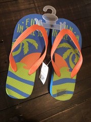 Fun In The Sun Flip Flops Blue and Orange Green Size Youth 2/3 Seaworld Parks