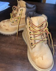 Timberland 6 Inch Premium Waterproof Little Kids Boots Wheat 12709