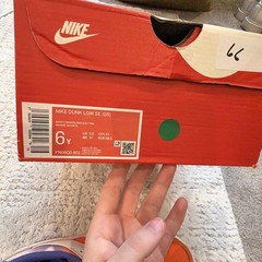 Dunk Low SE Everything You Need GS