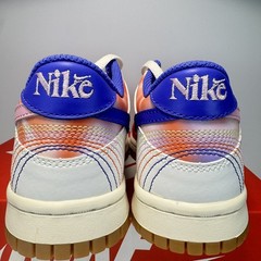 Nike Dunk Low Everything You Need GS Size 5 Fits Woman’s 6.5 FN0600 801