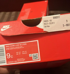 Nike Dunk Low SE (TD) 9C (EU 26) Leather Low Top Sneaker FJ0002-100