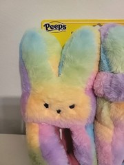 Peeps Bunny Rainbow Color Slippers & Headband Set Girls or Boys Shoe Size M 13/1