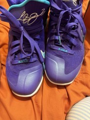 Nike LeBron 9 Hornets