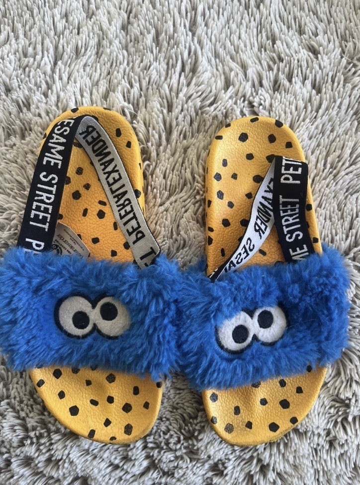 HTF Peter Alexander Sesame Street COOKIE MONSTER Slides Size 1