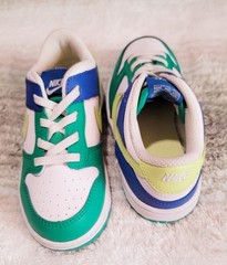 Nike Dunk Low FV6501-100 Green White Blue Yellow Leather Sneakers Kids 10C
