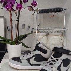 Nike Court Borough Mid 2 Kids Sneaker Mid Top Hook & Loop US 3Y Colorblock