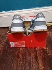Nike Dunk Low GS White Smoke Grey Iron Gum 3M FV0374-100 Size 5y