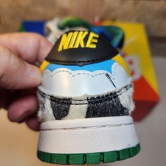 Nike SB Dunk Low Chunky Dunky Ben & Jerrys Toddler Shoes 12.5C CU3244-100