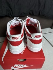 Champion Red Dunks Size 7.0